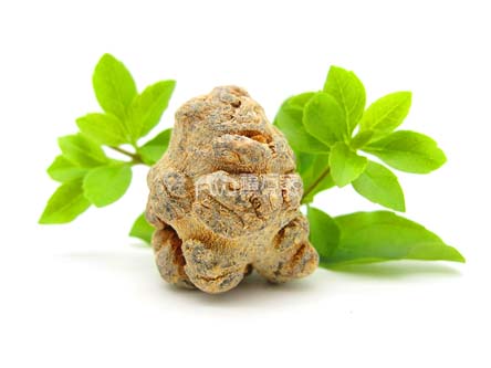 30頭的三七多少錢一斤
