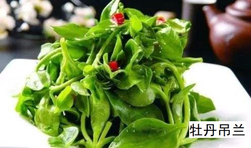 牡丹吊蘭