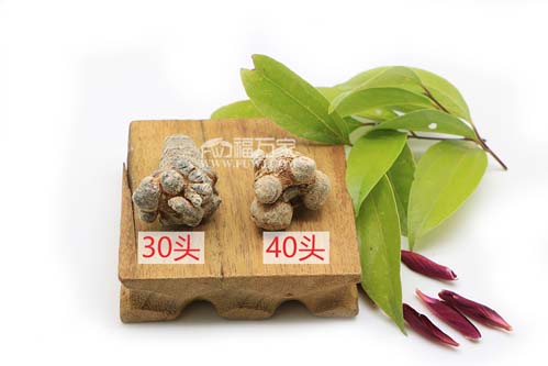 30頭和40頭三七