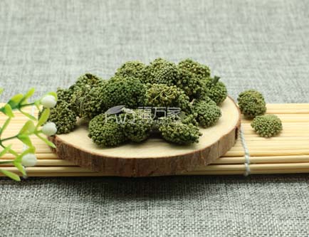 三七花的功效與作用