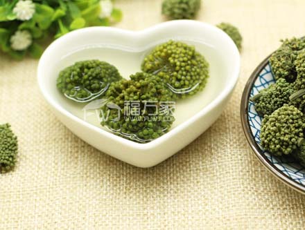 三七花的功效與作用