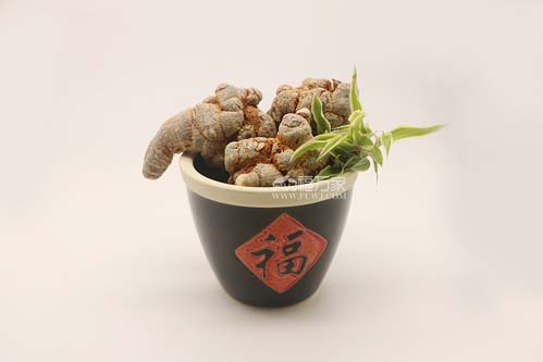 三七產(chǎn)地