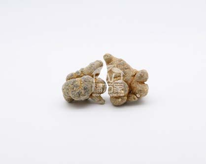 哪種三七好