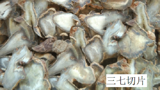 三七片煲湯