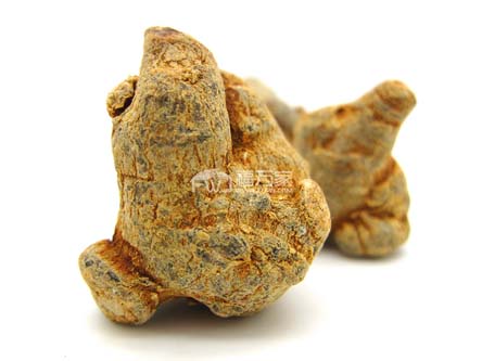 三七打成三七粉服用