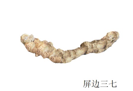 有野三七粉嗎