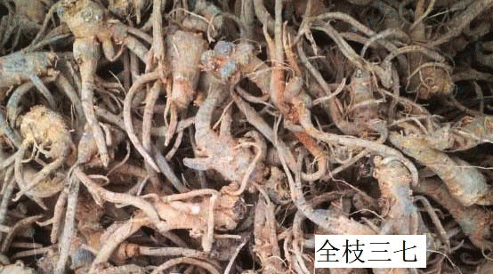 野三七