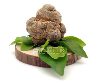 三七的性味歸經(jīng)