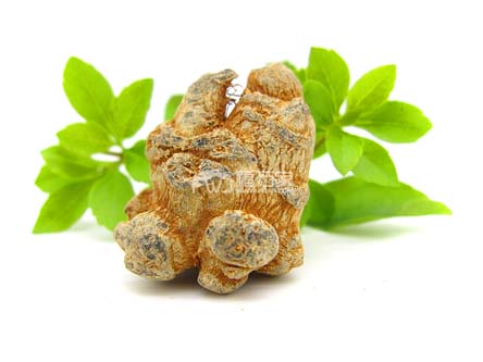 田七與三七是一樣的同一個藥材