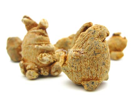 20頭三七