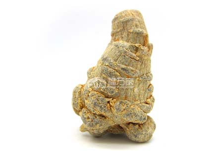 文山福萬家精選高品質(zhì)三七