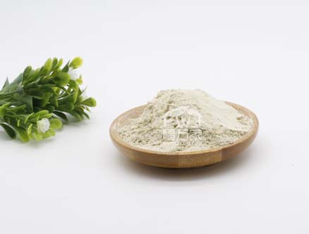 三七粉對(duì)腎臟沒(méi)損害