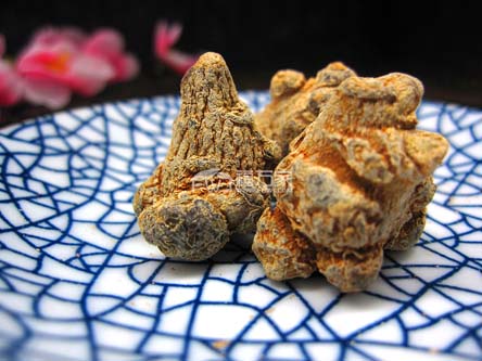 三七能泡酒嗎