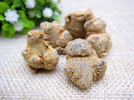 陳年的三七