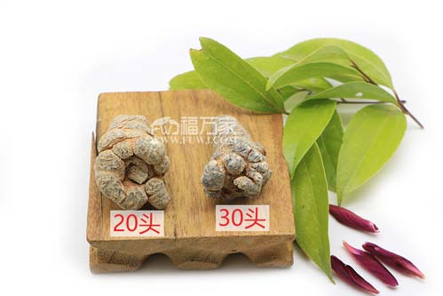三七粉多少錢