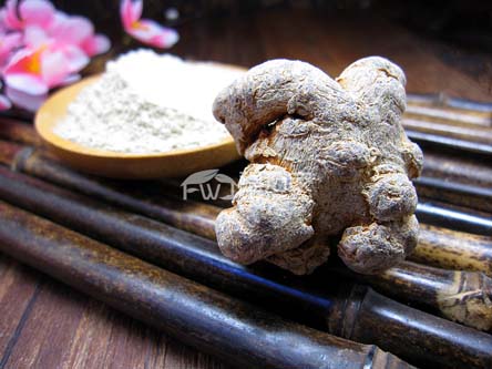 哪種三七粉好