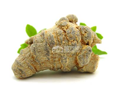 新鮮三七曬干打粉吃