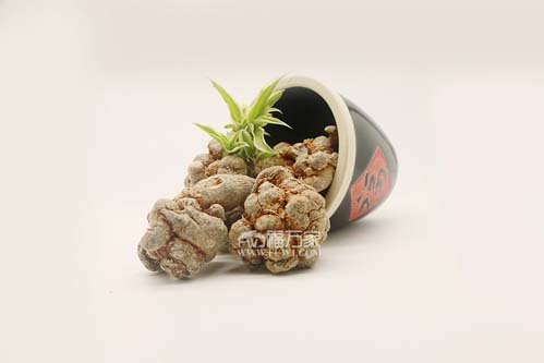 三七對(duì)脂肪肝的效果