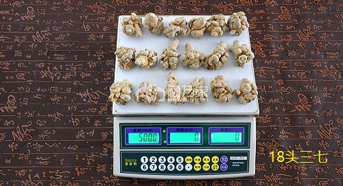 三七頭數(shù)的解釋