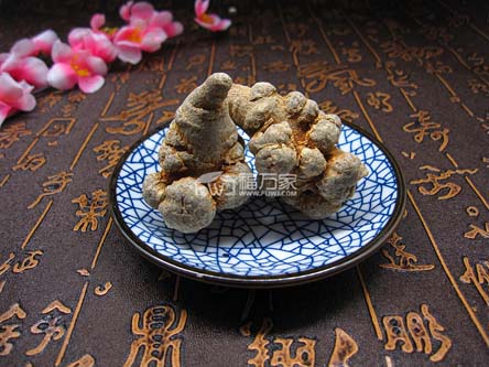 哪種三七最好