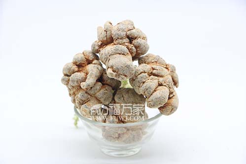 三七哪種最有用