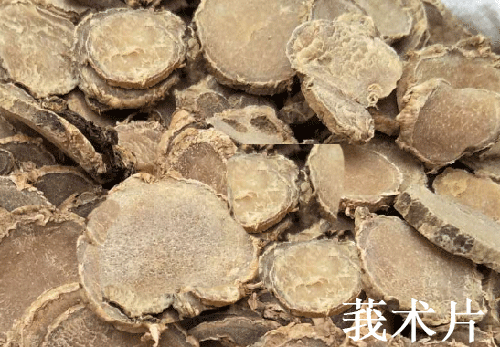 莪術(shù)冒充三七