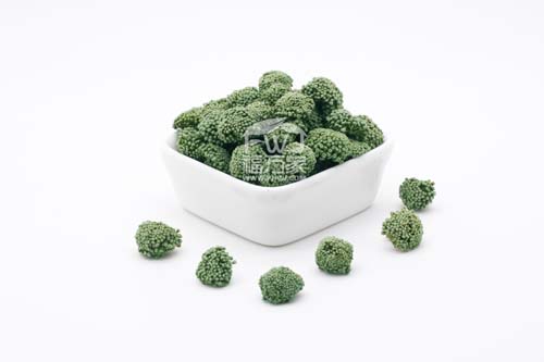 三七花是寒性嗎