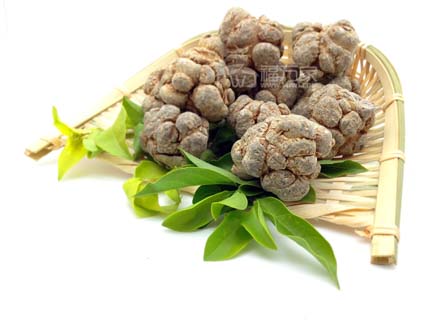 文山三七效果為什么好
