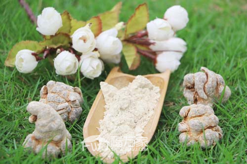 三七粉會(huì)加重感冒嗎