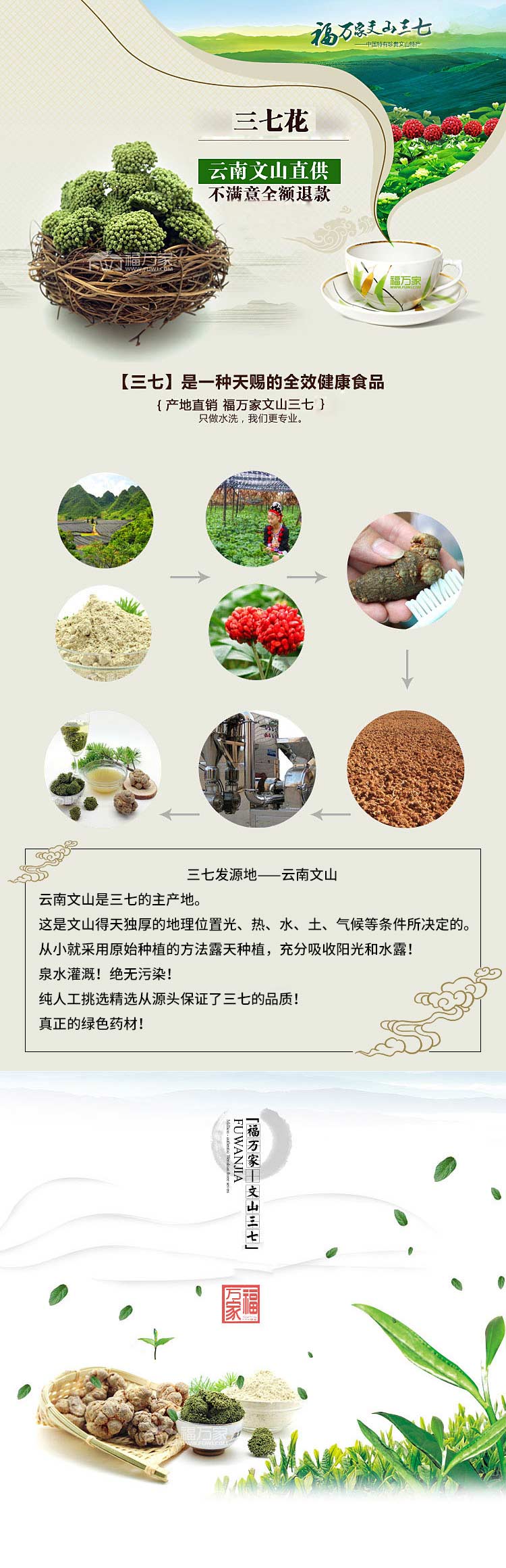 三七花詳情圖