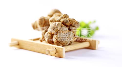 春三七和冬三七哪種好