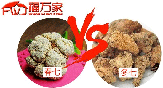 春七和冬七對比