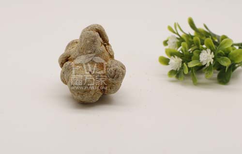 三七燉湯能給小孩喝嗎