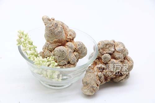 三七和石斛哪種好