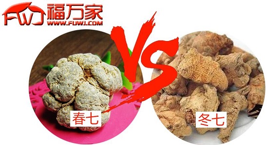 三七飽滿(mǎn)的好