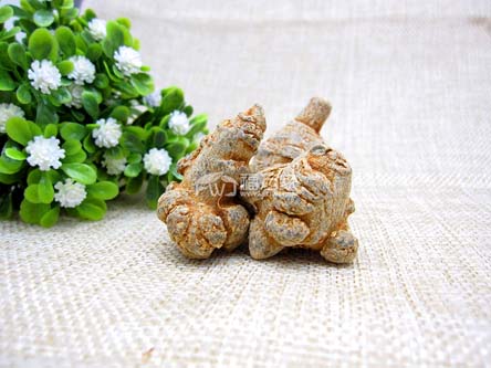 哪里的三七產(chǎn)量最大