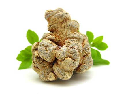 三七能做成片狀