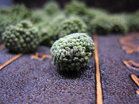 三七花綠色的好嗎