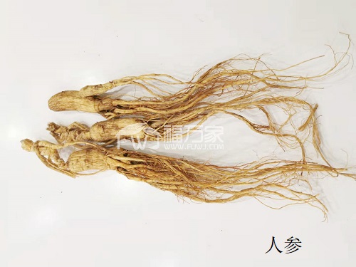人參配三七粉吃的效果