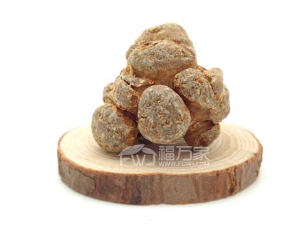 文山三七長(zhǎng)什么樣