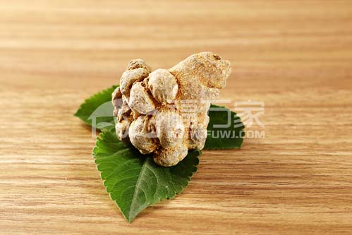 三七哪里可以種植