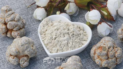 怎么買三七粉