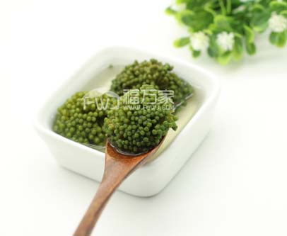三七花哪種好