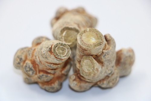 三七斷面是什么顏色才正常