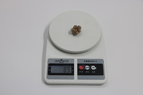 文山三七六十頭的重量