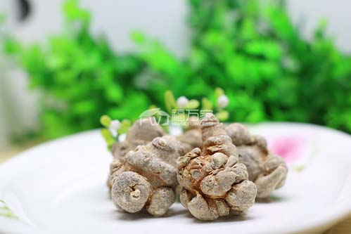 才挖的三七最新的價格