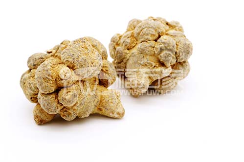三七哪種好