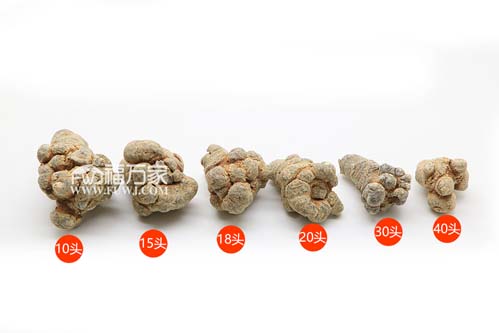 30頭三七粉云南文山發(fā)貨