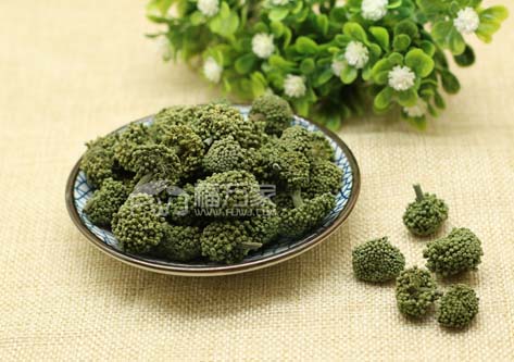 三七花大朵的好還是小的好