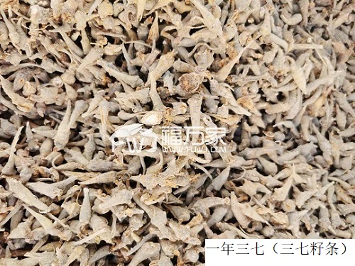 三七買哪種好
